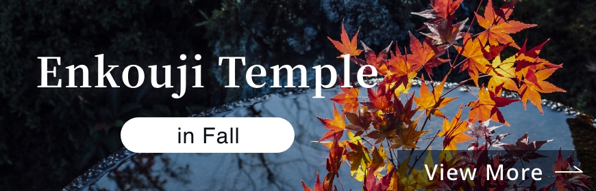 Enkouji Temple in Autumn