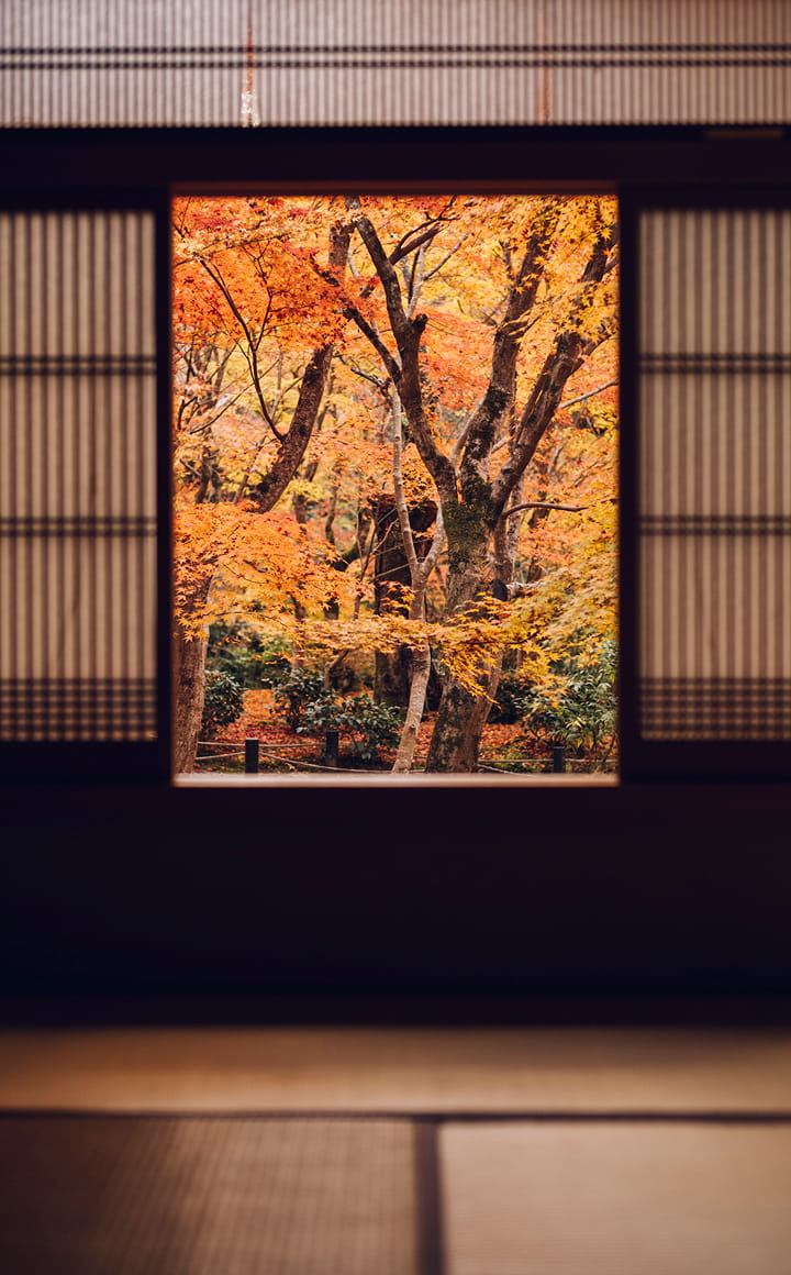 春秋